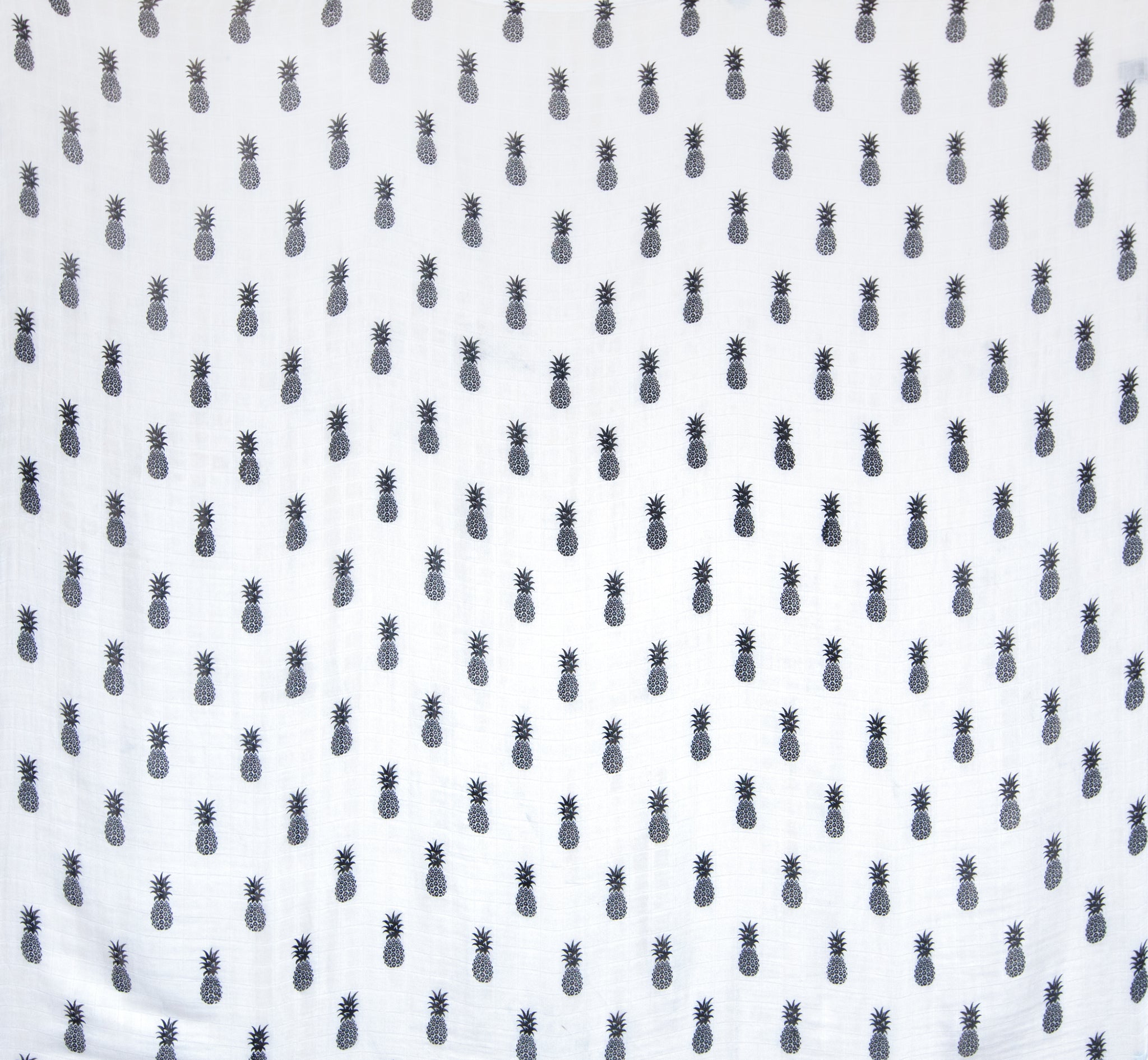 Monochrome Package